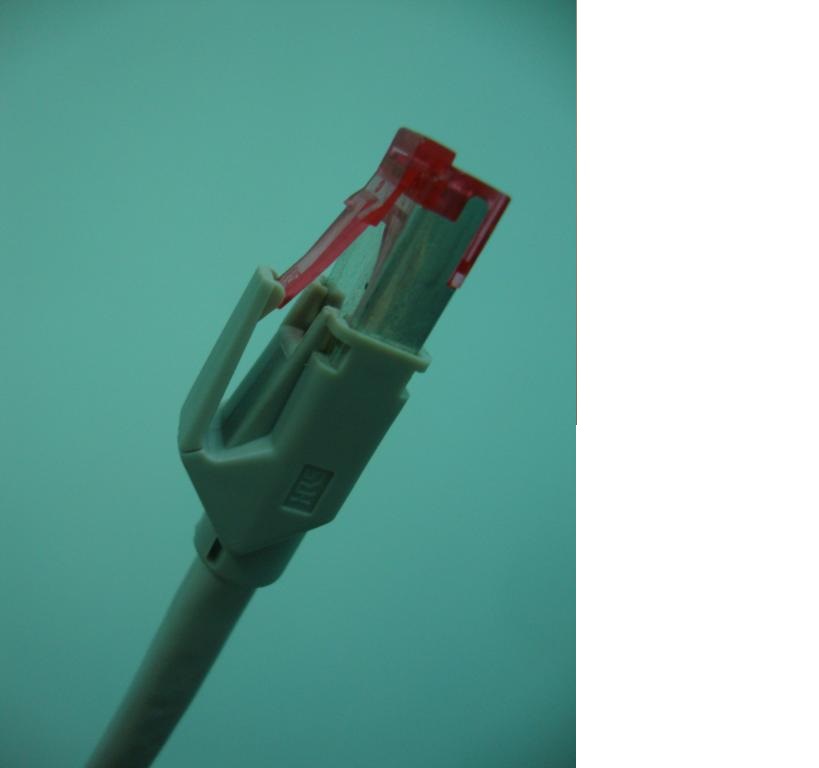 Cat6